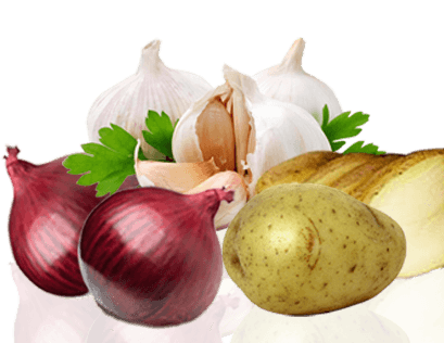 Fresh Vegetables