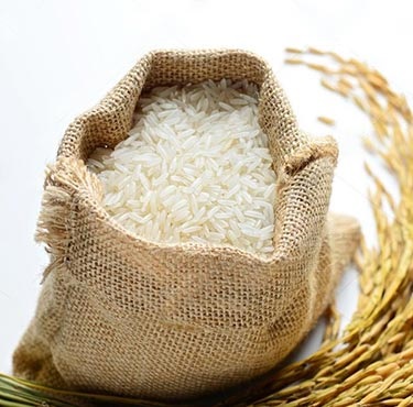 Sugandha Rice