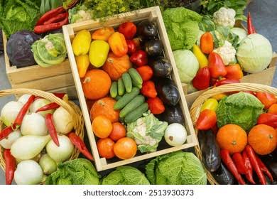 Food Products and Agro Products