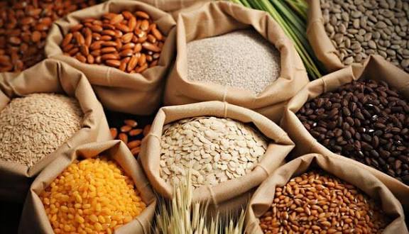Food Products and Agro Products
