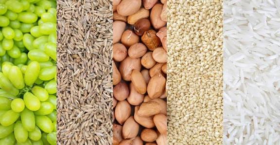 Food Products and Agro Products
