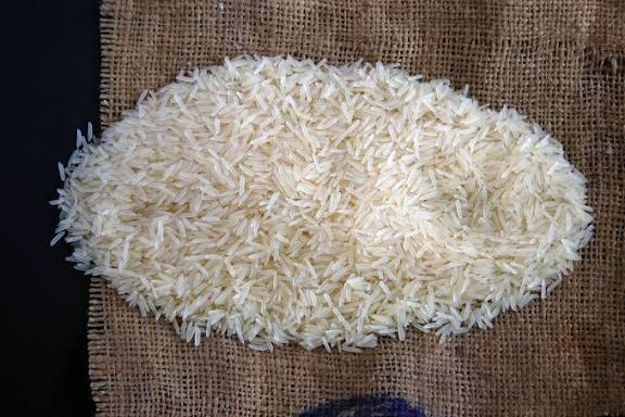 Buyer of 1509 Basmati Rice