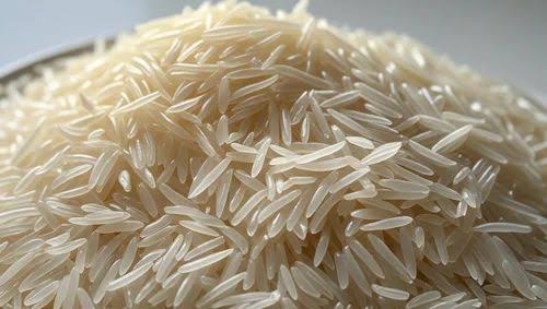 Buyer of 1509 Basmati Rice